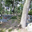 Cmentarz w Nakle fot. powierzone