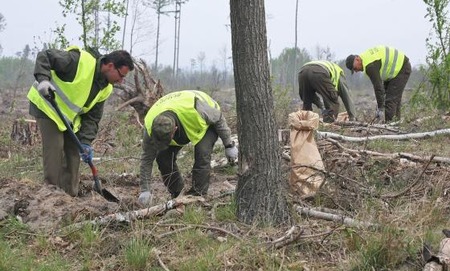 fot. Regionalna Dyrekcja Lasów Państwowych w Toruniu 